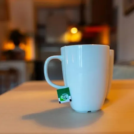 Centro • Mole Antonelliana Ma•ma Loft Oriental