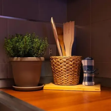 Appartamento [centro • Mole Antonelliana] Ma•ma Loft Oriental